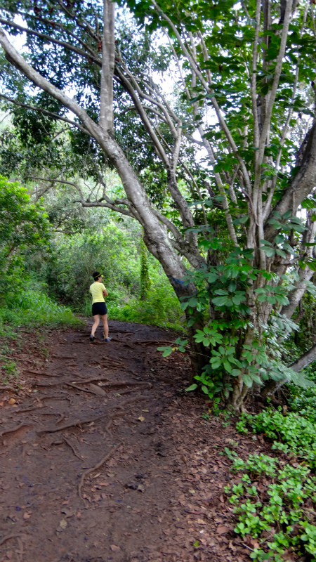 2013/01/10 Kauai island Trail Trip Day.4 Nou Nounou Mountain East Trail _b0220886_1332518.jpg