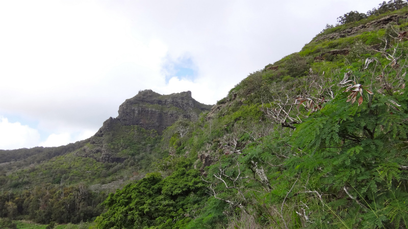 2013/01/10 Kauai island Trail Trip Day.4 Nou Nounou Mountain East Trail _b0220886_13332076.jpg