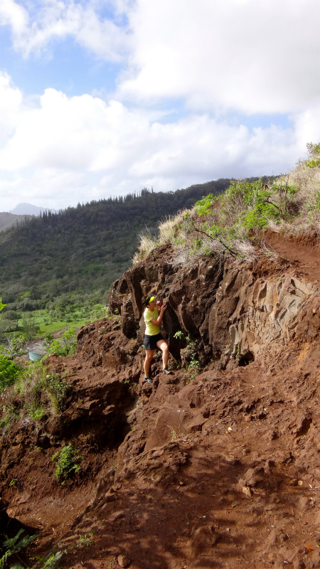 2013/01/10 Kauai island Trail Trip Day.4 Nou Nounou Mountain East Trail _b0220886_13335577.jpg
