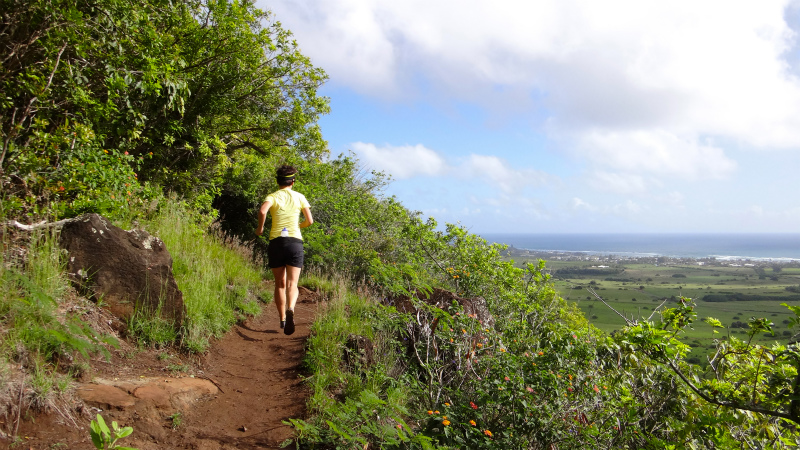 2013/01/10 Kauai island Trail Trip Day.4 Nou Nounou Mountain East Trail _b0220886_13341573.jpg