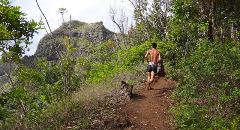 2013/01/10 Kauai island Trail Trip Day.4 Nou Nounou Mountain East Trail _b0220886_1335304.jpg