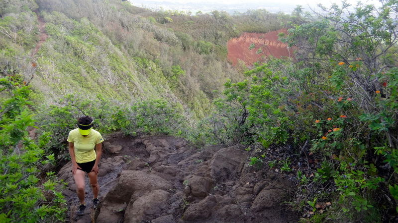 2013/01/10 Kauai island Trail Trip Day.4 Nou Nounou Mountain East Trail _b0220886_13393581.jpg