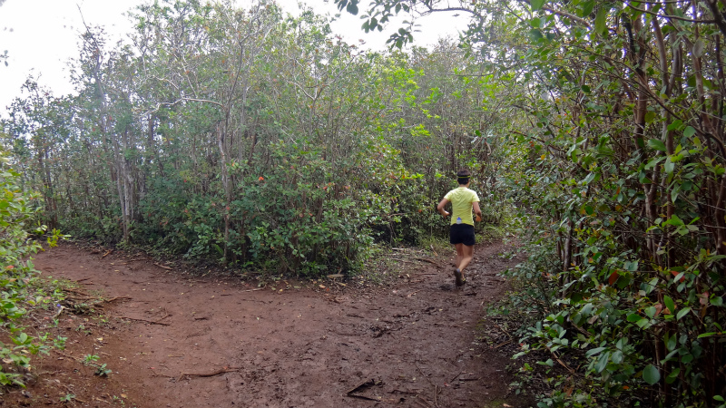2013/01/10 Kauai island Trail Trip Day.4 Nou Nounou Mountain East Trail _b0220886_1349598.jpg