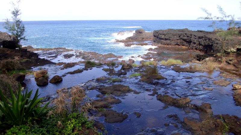 2013/01/10 Kauai island Trail Trip Day.4 Secret Beach Trail-Queen\'s Bath _b0220886_14235830.jpg