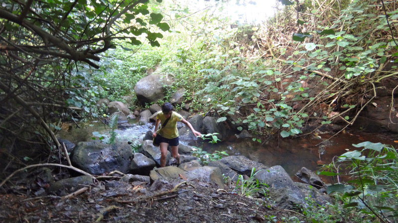 2013/01/10 Kauai island Trail Trip Day.4 Secret Beach Trail-Queen\'s Bath _b0220886_14244762.jpg