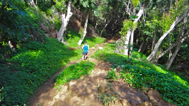 2013/01/10 Kauai island Trail Trip Day.4 Secret Beach Trail-Queen\'s Bath _b0220886_14765.jpg