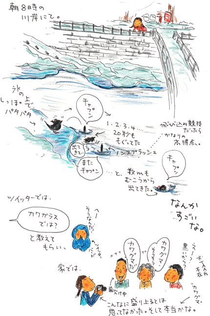 私の不思議な黒い鳥_f0236291_1157176.gif