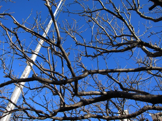 f0224492_1851982.jpg