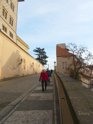 e0248598_03165.jpg