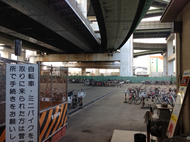 こちらはいったぃどちらなのでしょう。_a0050302_348989.jpg