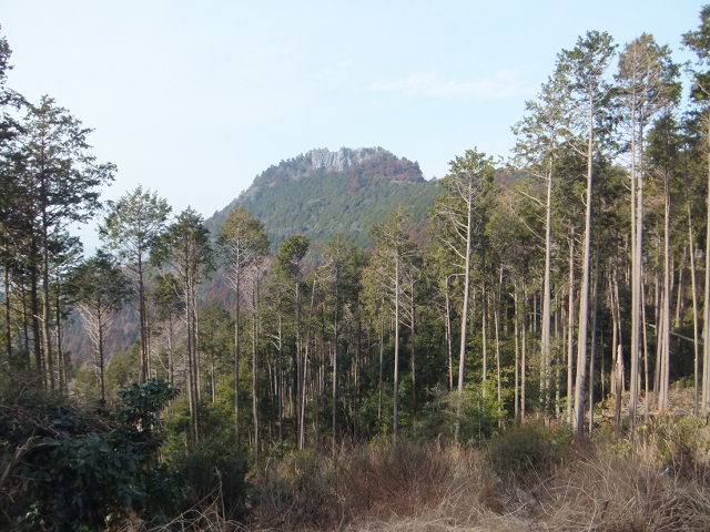 a0271502_22571980.jpg