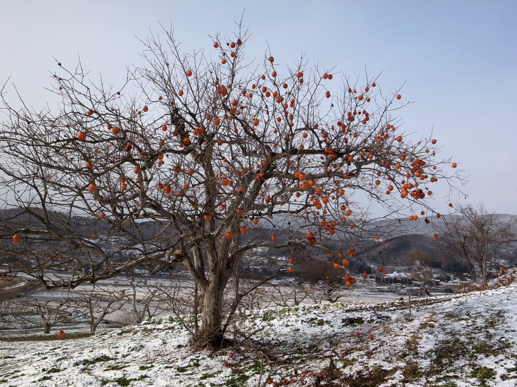 悲しい風景 お山遊び