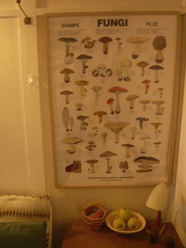 e0230007_23171423.jpg