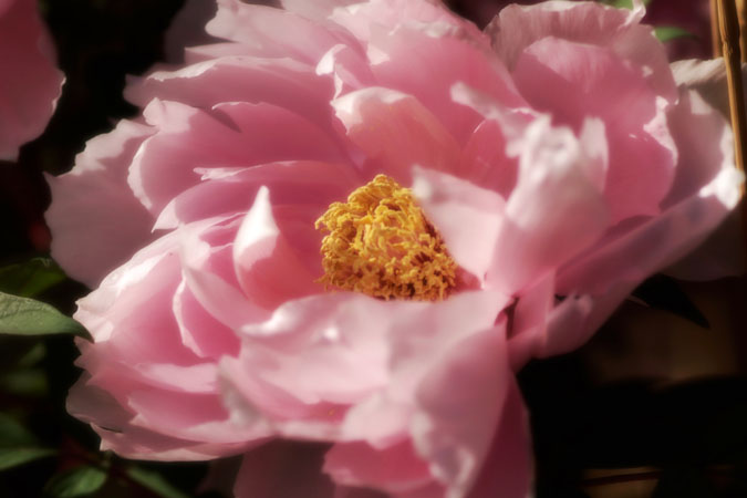a0263109_18515087.jpg