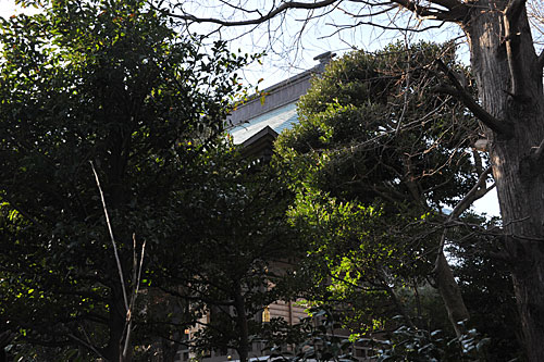 a0278809_7564588.jpg