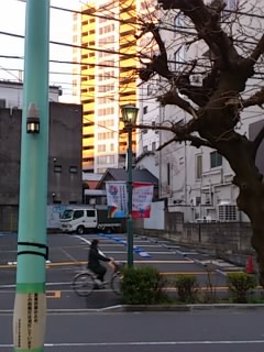 b0028109_8354885.jpg