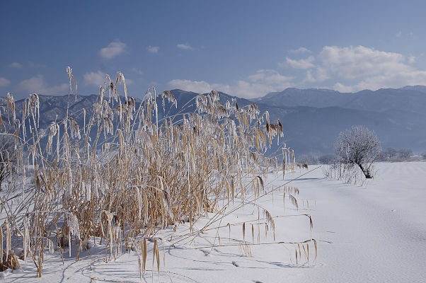 千曲川河畔_e0053810_15221399.jpg