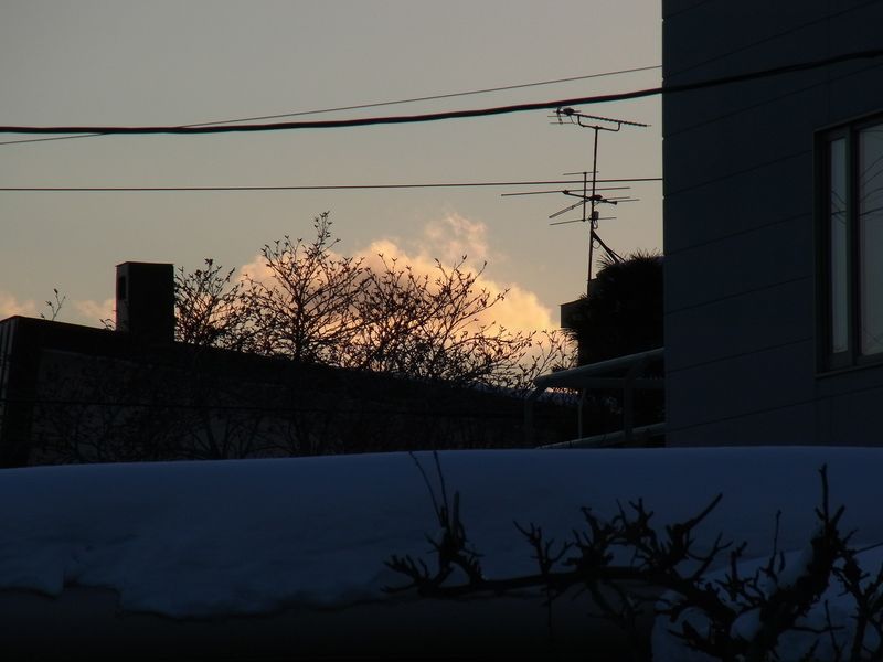 厳冬、午後の光の中で_c0025115_22353211.jpg