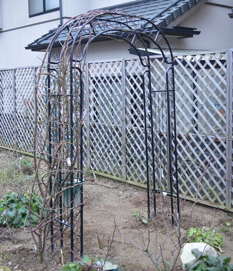 d0096422_14171124.jpg