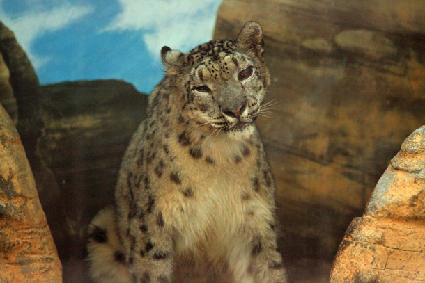 f0224624_172298.jpg