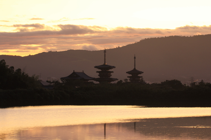 朝の大池から～薬師寺_d0283427_18443048.jpg