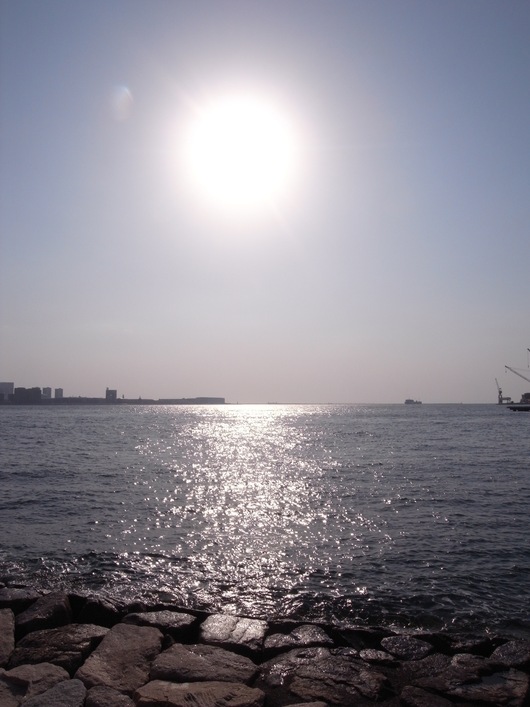 d0178432_20241833.jpg