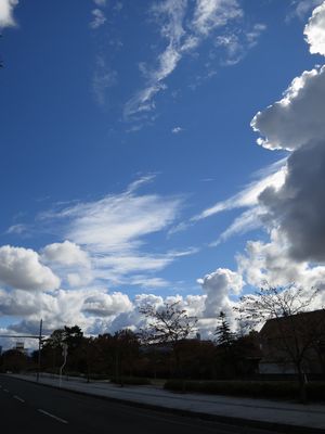 c0148238_11361567.jpg