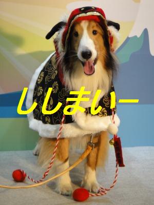 ペット博2013横浜はおいしかったワン_e0195743_2310043.jpg