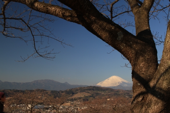 吾妻山の青年_a0120949_8315676.jpg