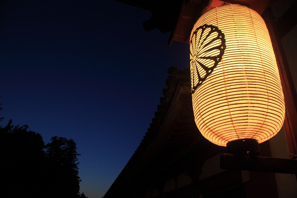 東大寺、暮れの刻_e0194050_8404583.jpg