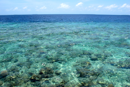 f0190653_12263123.jpg