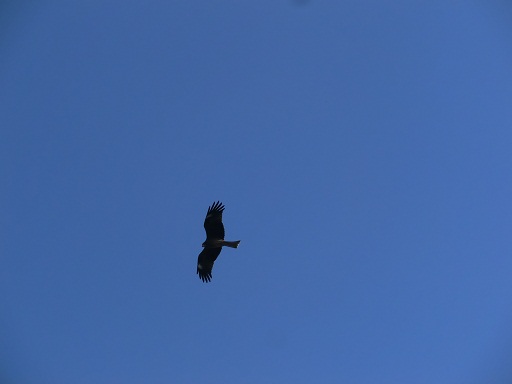 e0133255_17272787.jpg