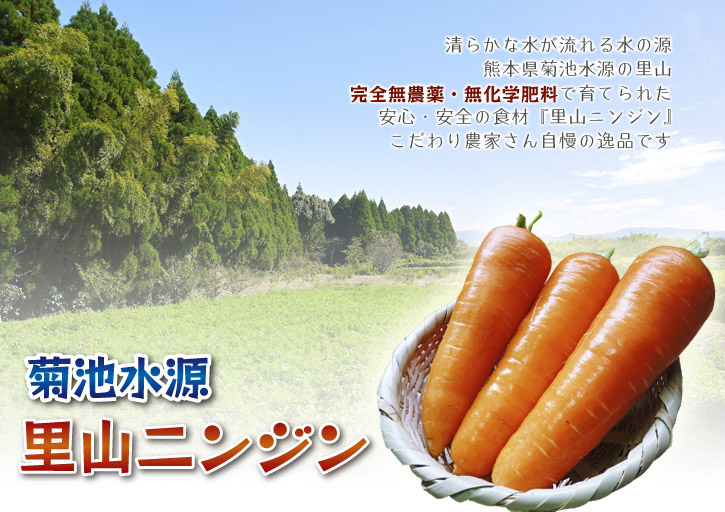 熊本の最旬「美味かもん」をご紹介 vol.3_a0254656_1195520.jpg