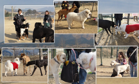 a0201257_14510100.png