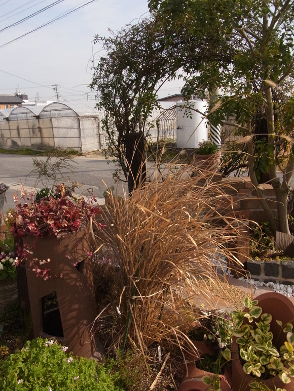 b0194267_16124949.jpg