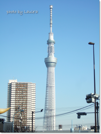 e0142170_2248578.png