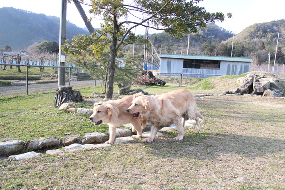 楽しい１日♡しもせりんご村_a0220681_1530556.jpg