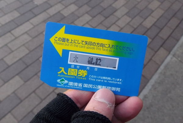 キソウテンガイ(奇想天外)_a0248481_1957644.jpg