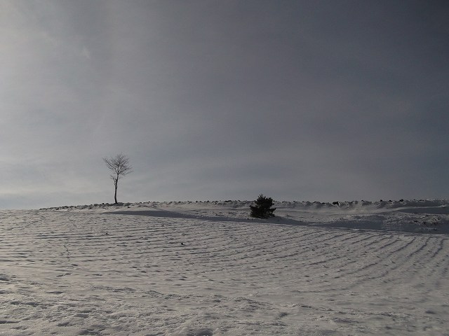 c0212083_223806.jpg