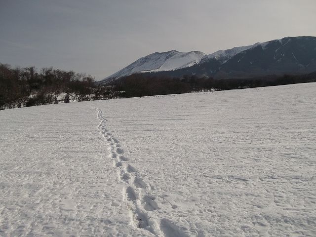 c0212083_2240131.jpg