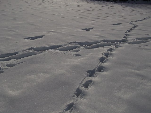 c0212083_22404417.jpg