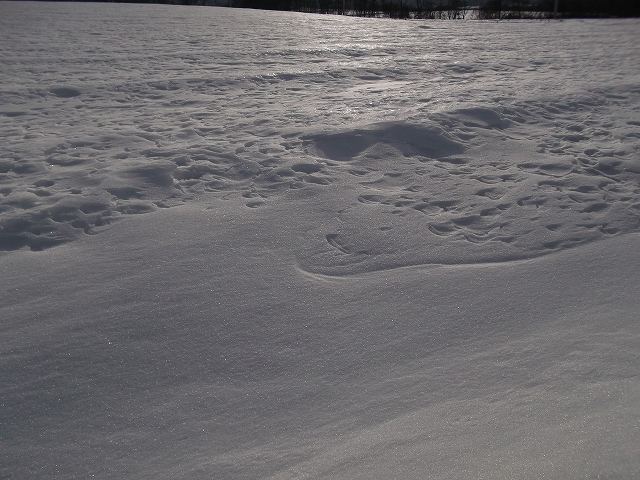 c0212083_22414446.jpg