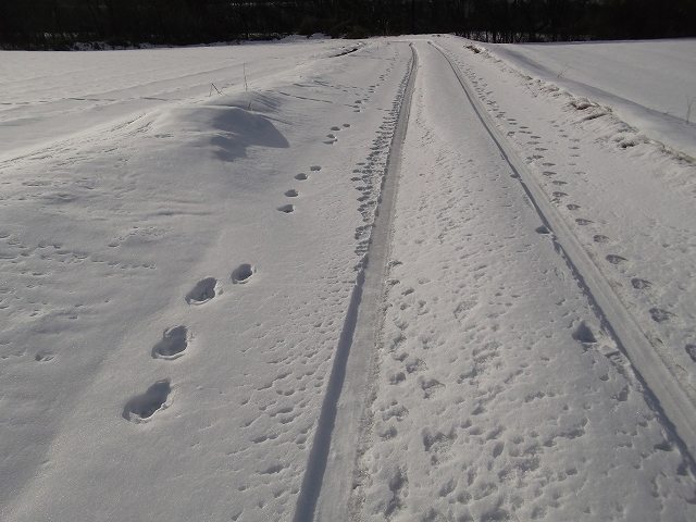 c0212083_22443955.jpg