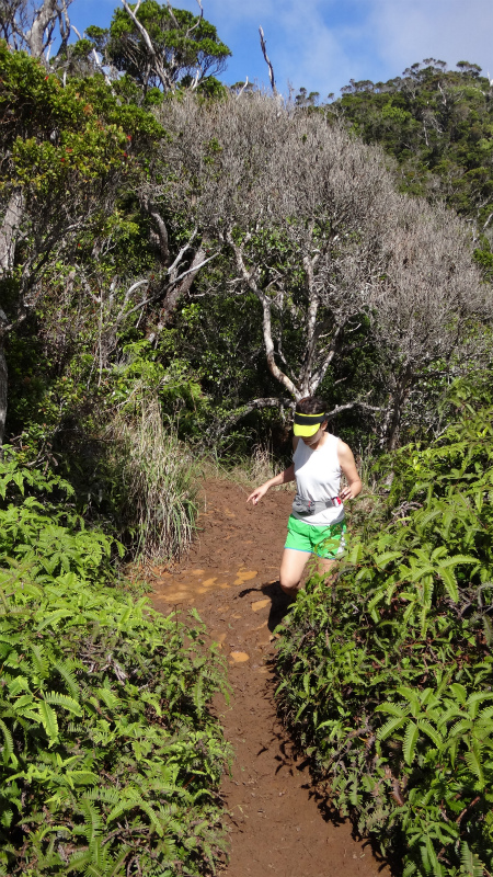2013/01/11 Kauai island Trail Trip Day.5 Pihea Trail-Alaka\'i Swamp Trail-Kaluaphi Trail _b0220886_1314761.jpg