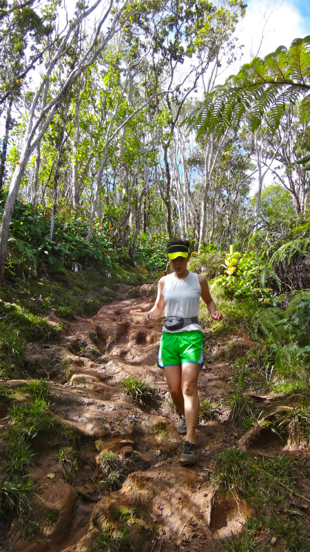 2013/01/11 Kauai island Trail Trip Day.5 Pihea Trail-Alaka\'i Swamp Trail-Kaluaphi Trail _b0220886_13222085.jpg