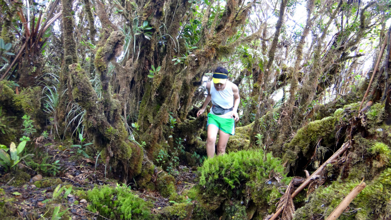 2013/01/11 Kauai island Trail Trip Day.5 Pihea Trail-Alaka\'i Swamp Trail-Kaluaphi Trail _b0220886_1335848.jpg