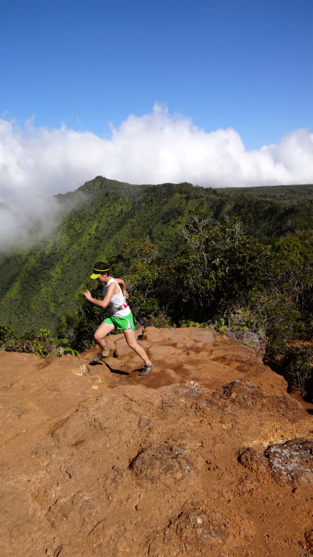 2013/01/11 Kauai island Trail Trip Day.5 Pihea Trail-Alaka\'i Swamp Trail-Kaluaphi Trail _b0220886_13405271.jpg