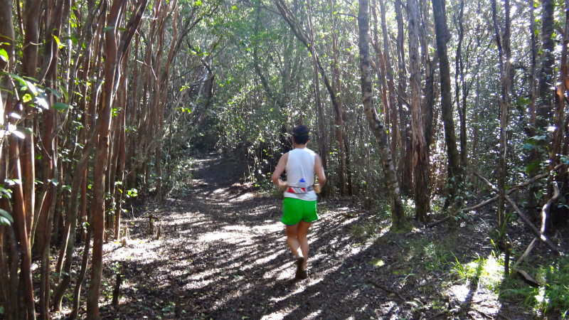 2013/01/11 Kauai island Trail Trip Day.5 Pihea Trail-Alaka\'i Swamp Trail-Kaluaphi Trail _b0220886_13483792.jpg