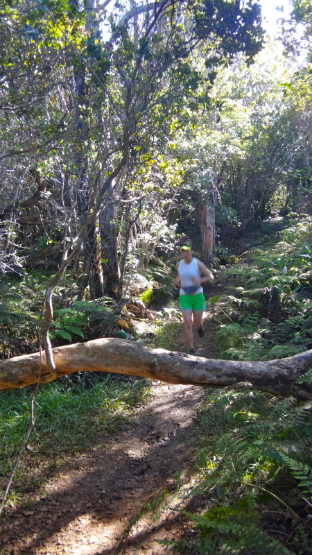 2013/01/11 Kauai island Trail Trip Day.5 Pihea Trail-Alaka\'i Swamp Trail-Kaluaphi Trail _b0220886_13514942.jpg