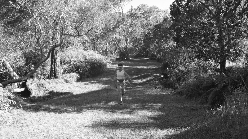 2013/01/11 Kauai island Trail Trip Day.5 Pihea Trail-Alaka\'i Swamp Trail-Kaluaphi Trail _b0220886_13522839.jpg